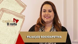 Explica Direito Filiação Socioafetiva  2019 [upl. by Chavey805]